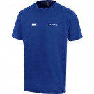 color:royalblau
